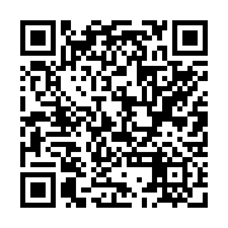 QR code for XGD239