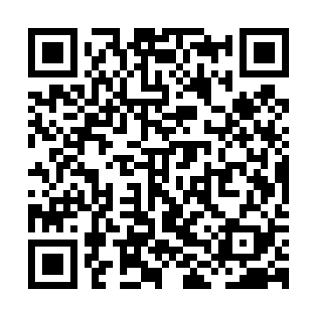 QR code for XLUT29