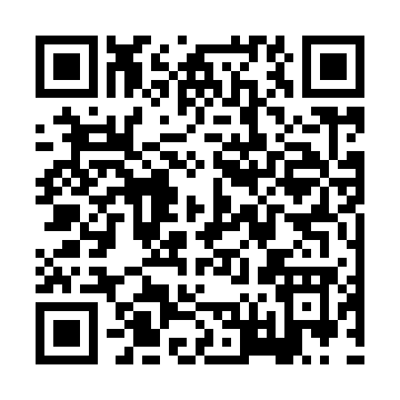 QR code for XV397