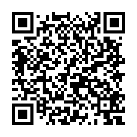 QR code for XVI509