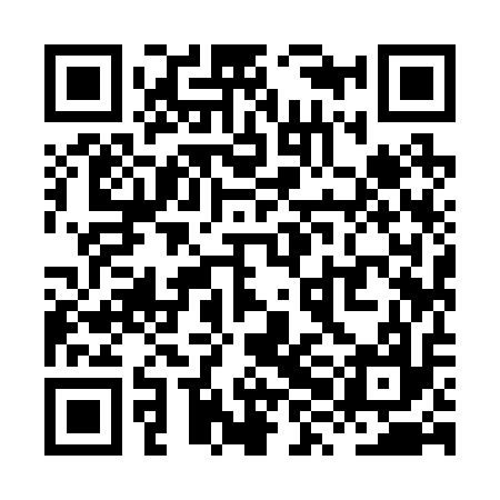 QR code for XXI217