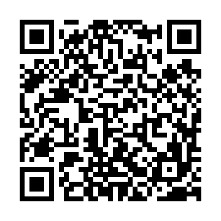 QR code for YBZ696