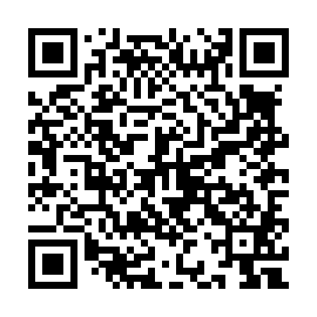 QR code for YBZL81