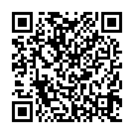QR code for YHR919
