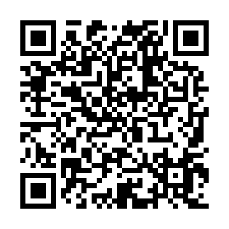 QR code for YI991