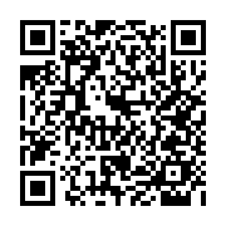 QR code for YL339