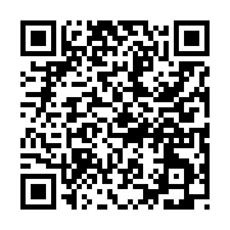 QR code for YQ161