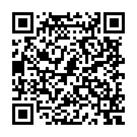 QR code for YSHM95
