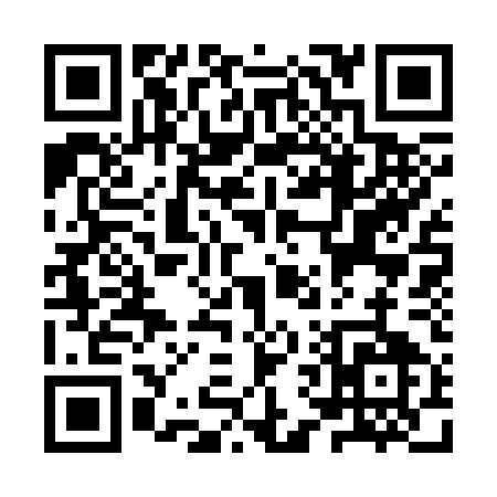 QR code for YV335