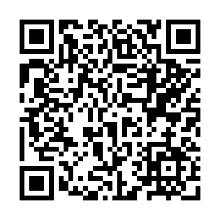 QR code for YV863