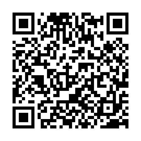QR code for YVL013