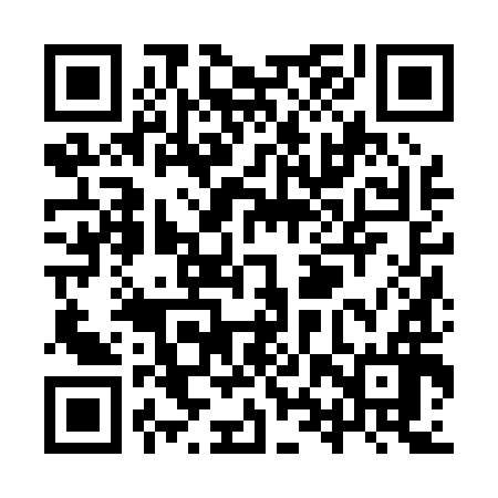 QR code for YXZ096