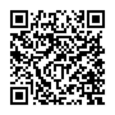 QR code for YY795