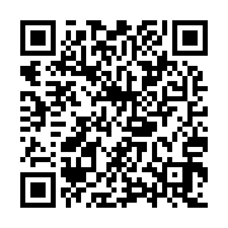 QR code for YYGI13
