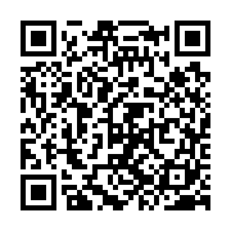 QR code for YZS761