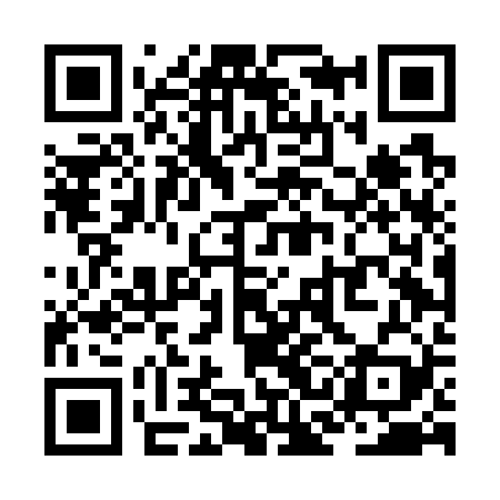 QR code for ZCDG29