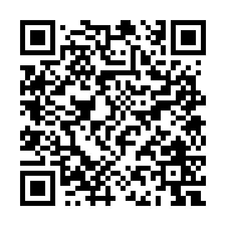 QR code for ZD377