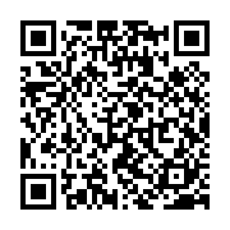 QR code for ZDVP20