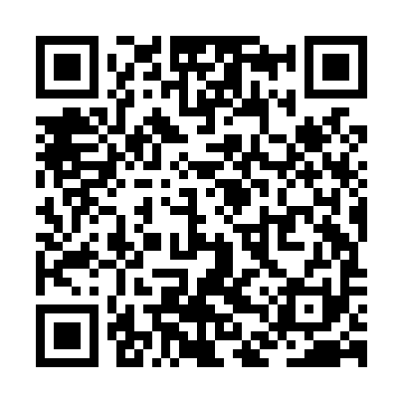 QR code for ZDZL91