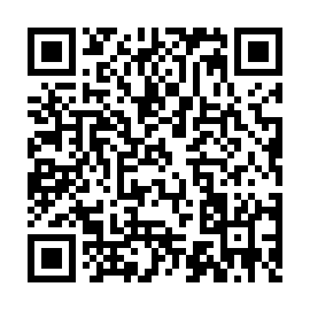 QR code for ZG541