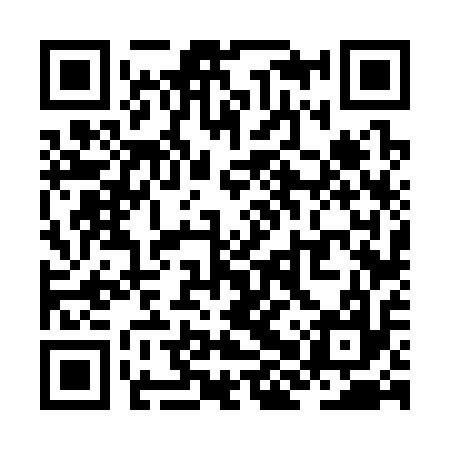 QR code for ZHV317