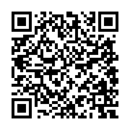 QR code for ZI641