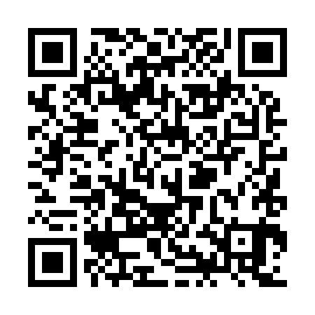 QR code for ZID981