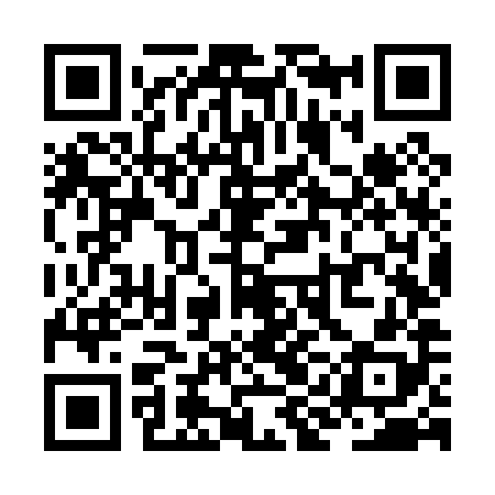 QR code for ZINP88