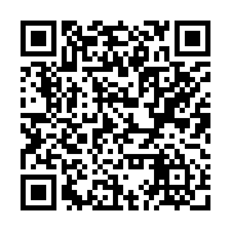 QR code for ZIX955