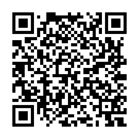 QR code for ZJPY51