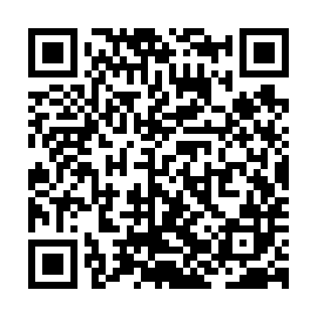 QR code for ZJSV82