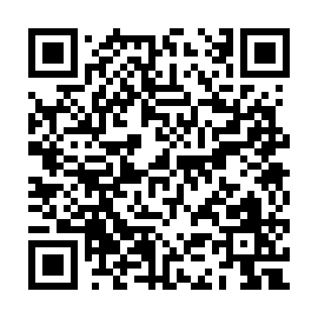 QR code for ZK371