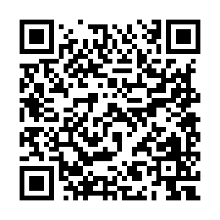 QR code for ZL299