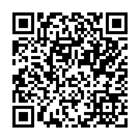 QR code for ZL306
