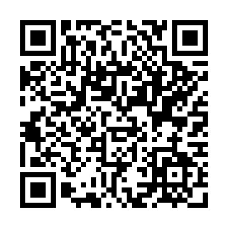 QR code for ZL667