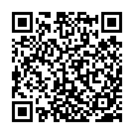 QR code for ZLQ685