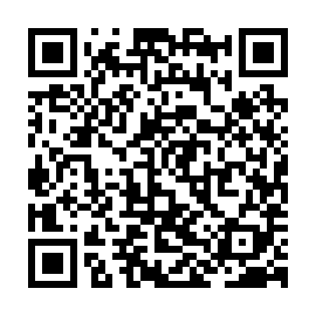QR code for ZLU289