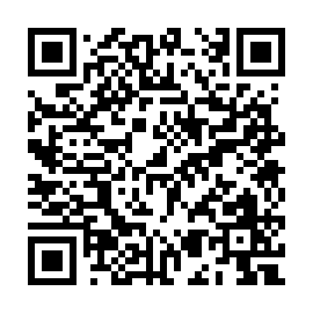 QR code for ZM371