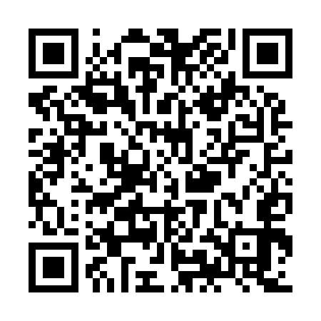 QR code for ZMCI53