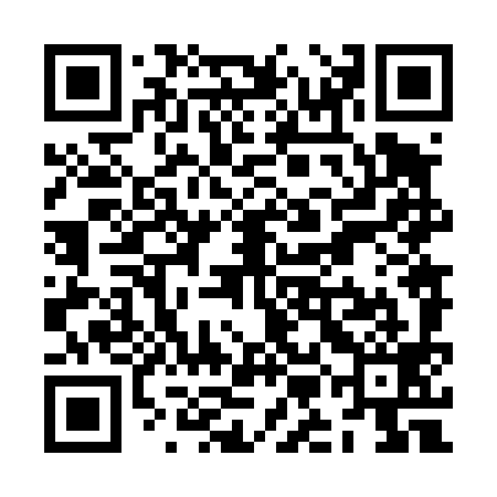 QR code for ZMN499
