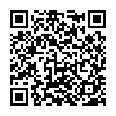 QR code for ZMO381