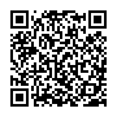 QR code for ZMX489
