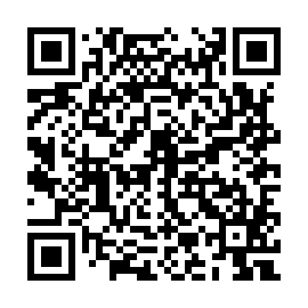 QR code for ZMZI85