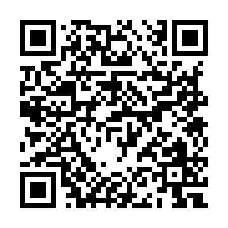 QR code for ZN391