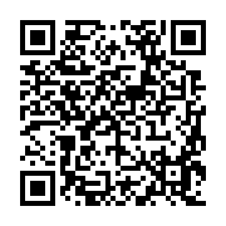 QR code for ZO379