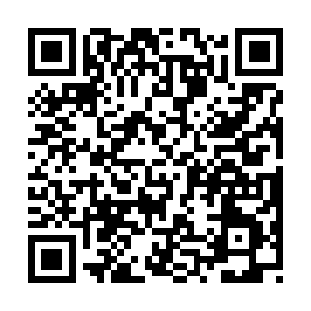 QR code for ZP368