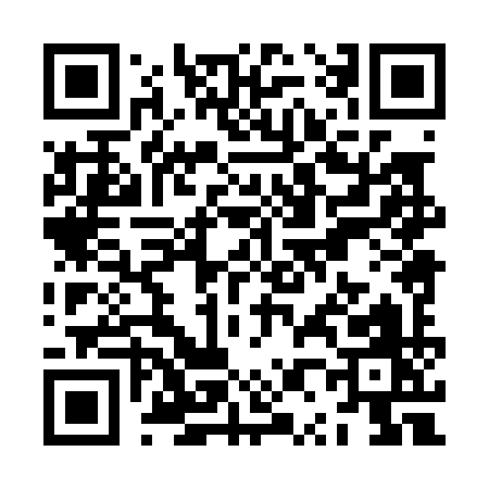 QR code for ZP809