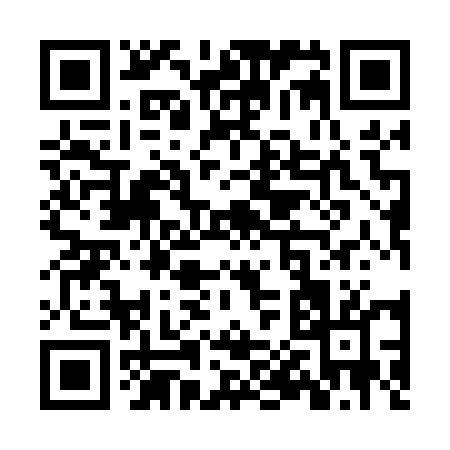 QR code for ZP905