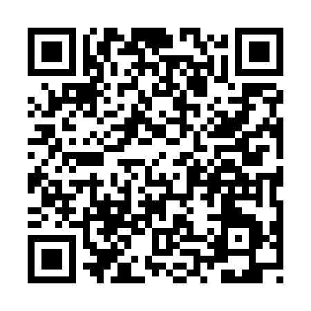 QR code for ZP957