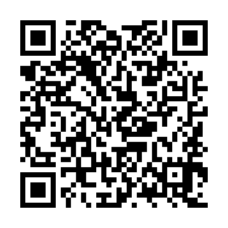 QR code for ZPL595
